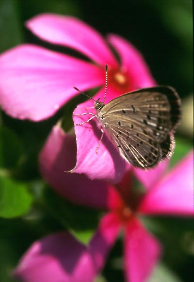 Chen Dacheng’s Photography Chen Dacheng’s Photography